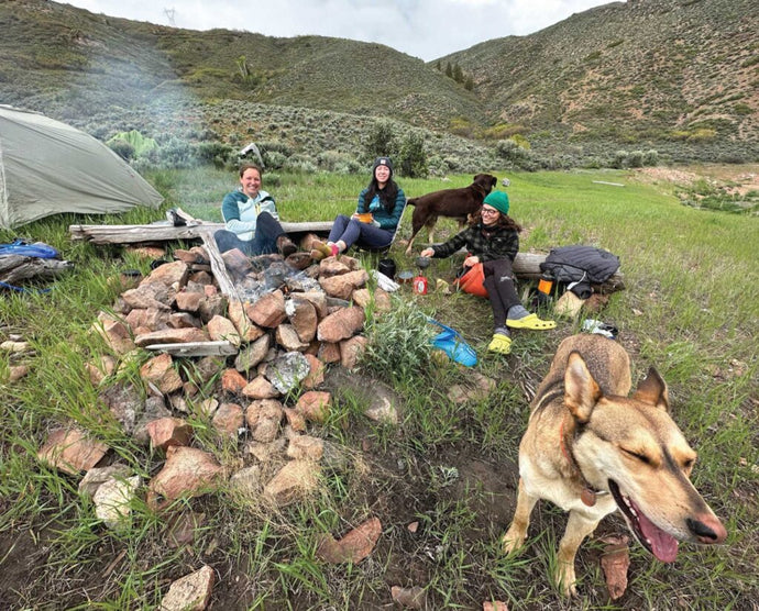 How to Camp with a Dog