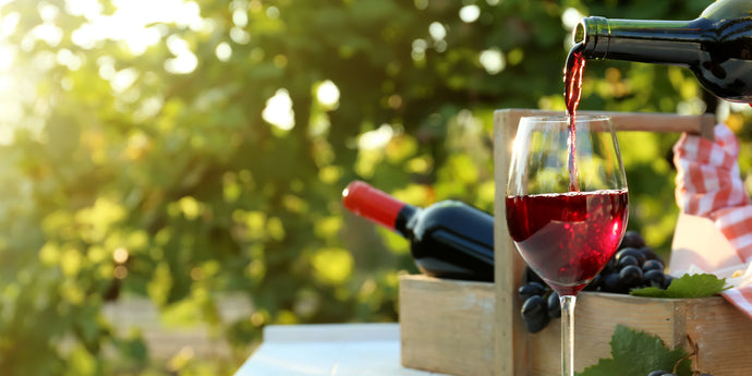 A Visual Guide to Northern Italy’s Chillable, Light-Bodied Reds