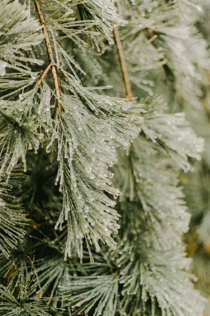 links + small things