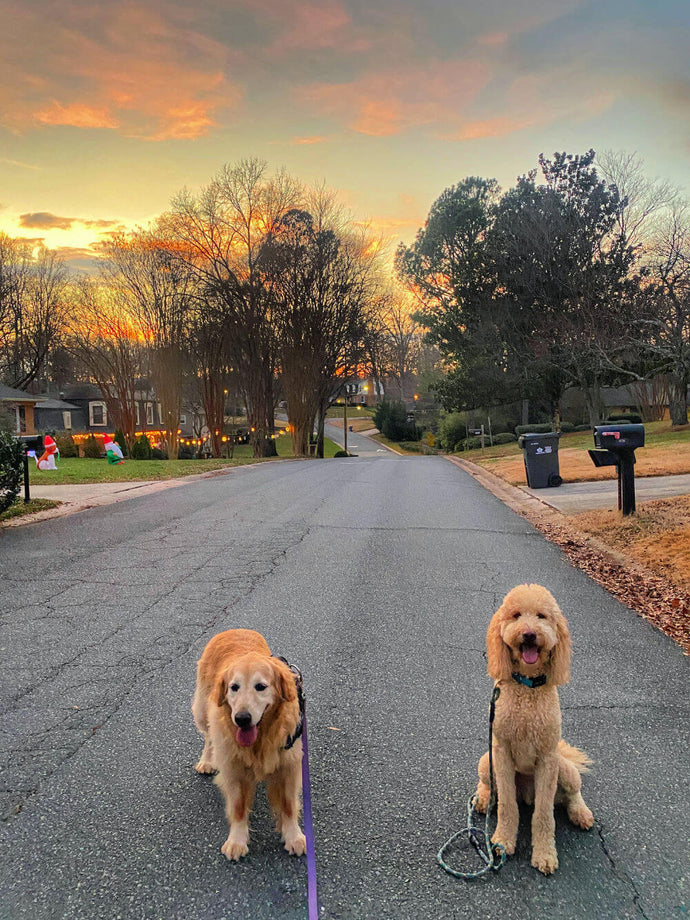 First Few Days of 2023 + Recent Eats