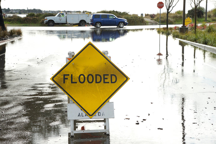 Man in rainy California hops out of truck to catch fish with bare hands on flooded road (video)