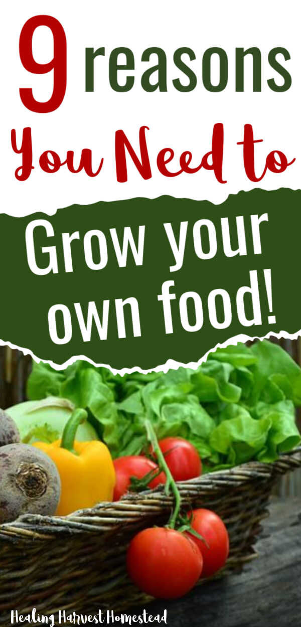 Why You Need to Grow (at Least Some) of Your Own Food! Get Your Personal Victory Garden Going NOW