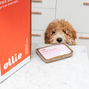 Check out this great deal to try Ollie Dog Food! You'll get 60% off custom, FRESH dog food shipped to your doorstep