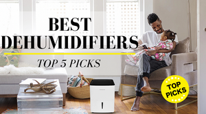Best Dehumidifier (2021): 5 Best Dehumidifiers Reviewed
