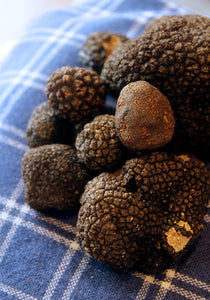 If you’ve ever heard of truffles or been lucky enough to taste them, it’s probably been in the context of gourmet dining