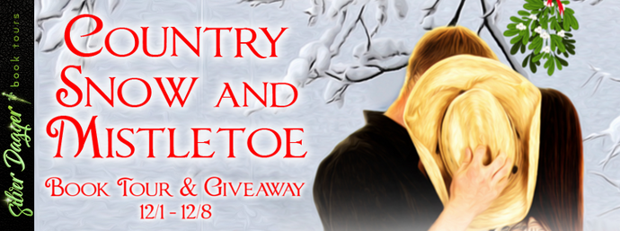 To risk or not risk... Country Snow and Mistletoe (A Wyoming Romance #1) by Anne Carrole