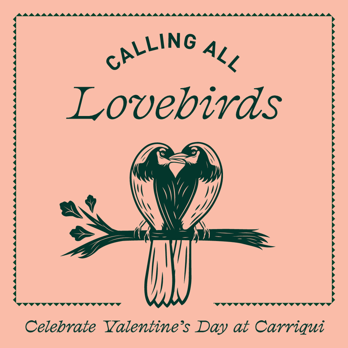 Best Ways to Celebrate Valentine’s Day in San Antonio