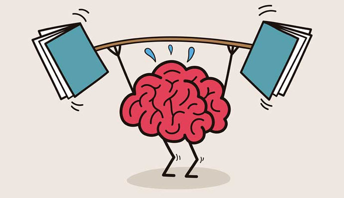 Language Brain Teaser : The President Hid in the Sentence