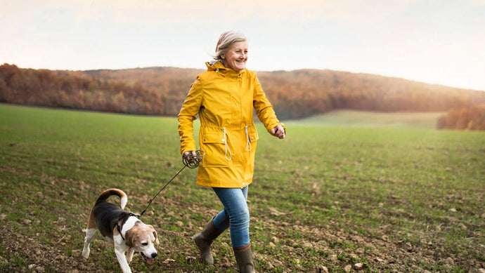 10 Tricks to Squeeze Exercise into Your Day in Your 60s