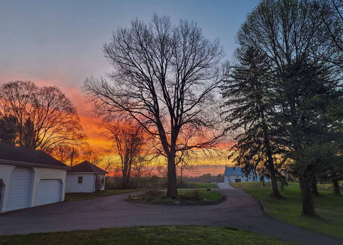 The Little Things Newsletter #361 – Life, laughter, and lots of great food!