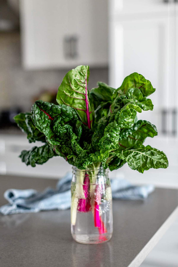 How To Cut, Clean and Store Swiss Chard