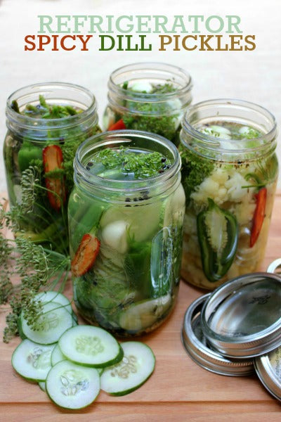 Spicy Refrigerator Dill Pickles