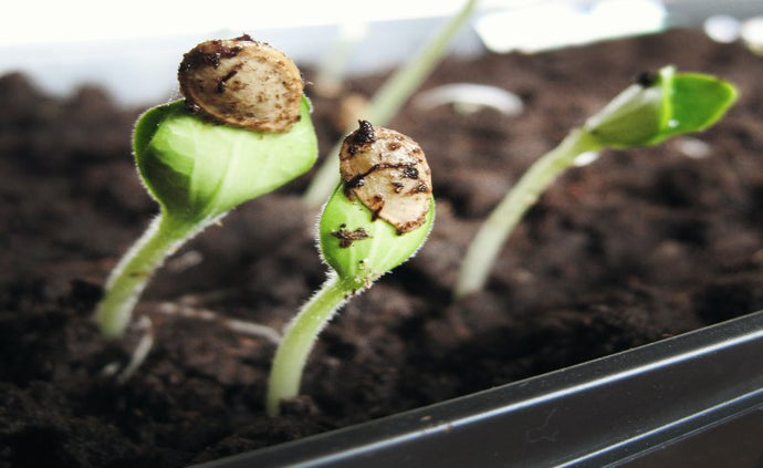 Why the Next Big Revolution Is in Your Hands