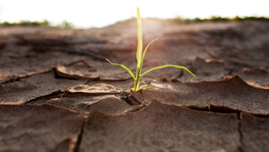 ‘Finite’ — The Climate of Change