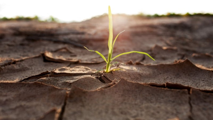 ‘Finite’ — The Climate of Change