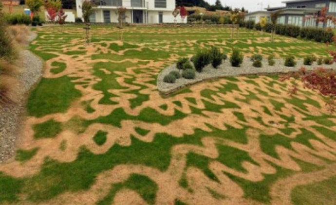 20 People Who Were Much More Unlucky Than You. You Wouldn’t like to Be in Their Shoes