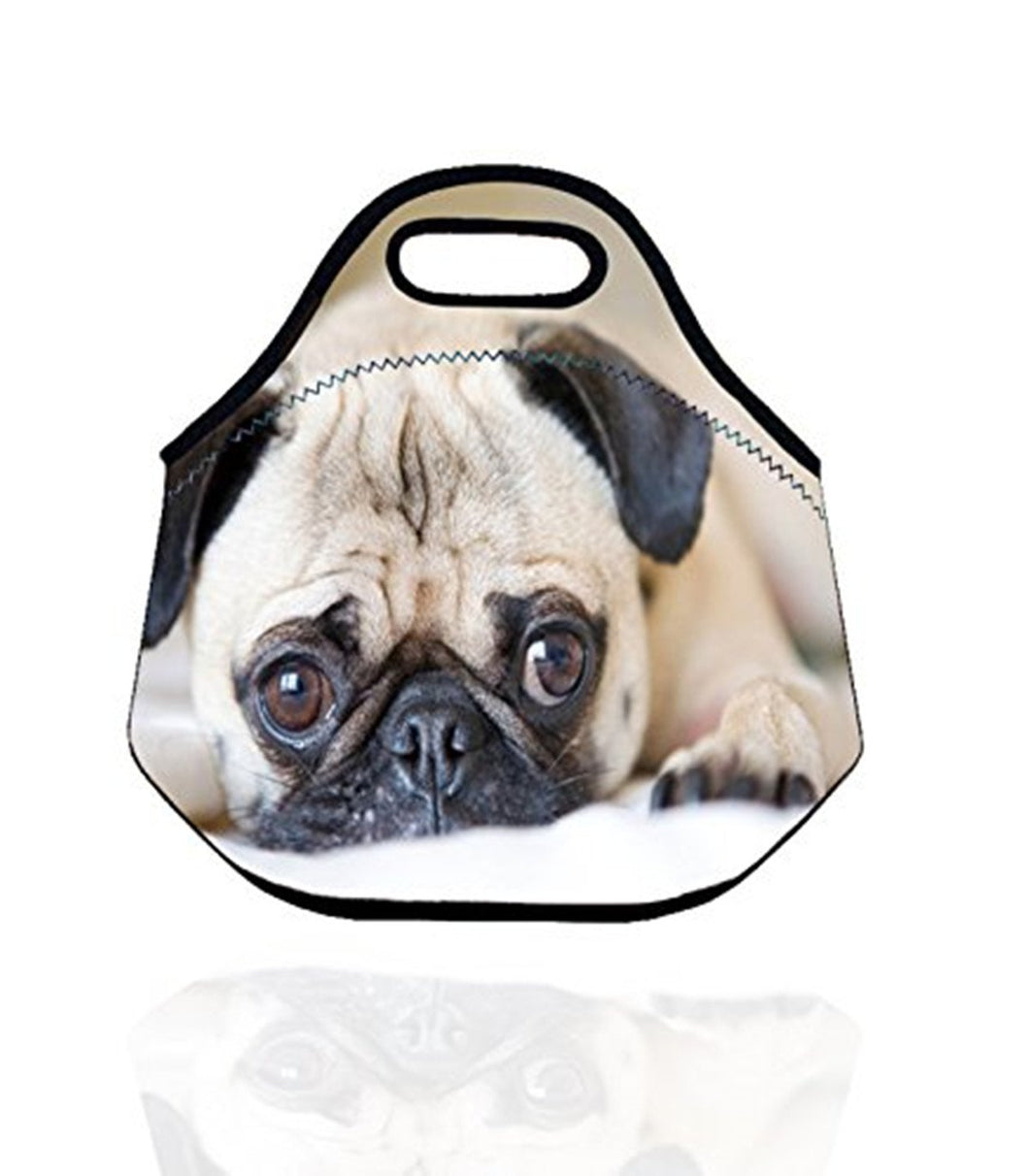 Boys Girls Kids Women Adults Insulated School Travel Outdoor Thermal Waterproof Carrying Lunch Tote Bag Cooler Box Neoprene Lunchbox Container Case For Outdoors,Work,Office,School (Cute Dog)