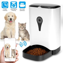 Automatic Pet Feeder- Food Dispenser Feed for Dog Cat Wifi Recording With 720P WiFi Camera Phone Control Feeder Wireless