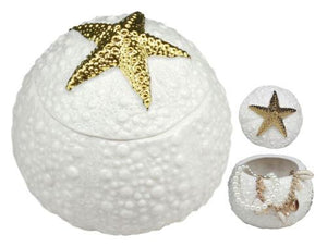 Ceramic Gold Starfish Sea Star Round Trinket Jewelry Box Beach Ocean Reef Decor